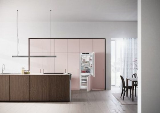���� �������� ����� (60 �"�) ����� ����� 254 ���� Liebherr ICNe-5133
